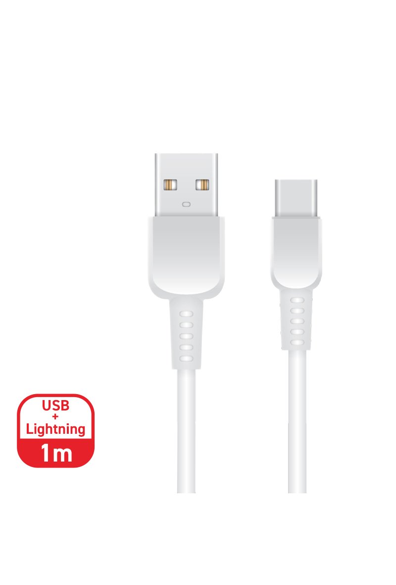 FASR Câble USB / Type-C 2.4A FASR FS-T419 - 1M - Blanc