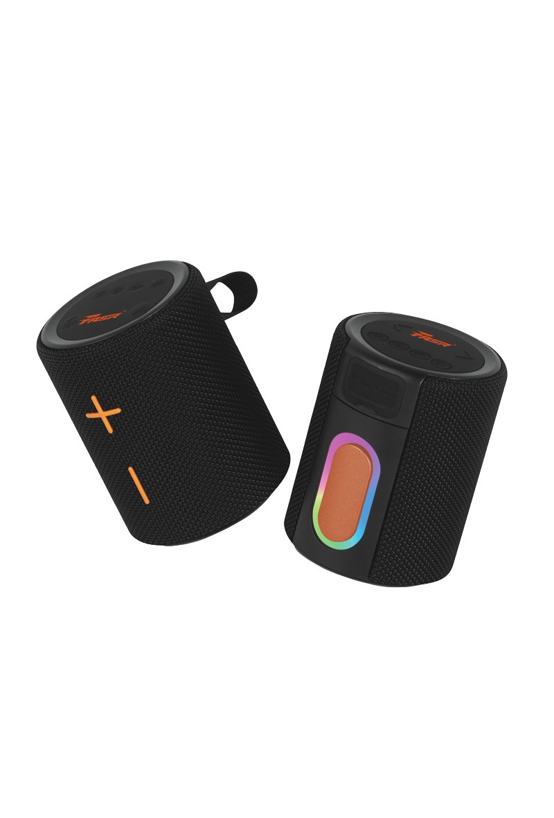 Mini Enceinte Bluetooth Portable -  SANI-305